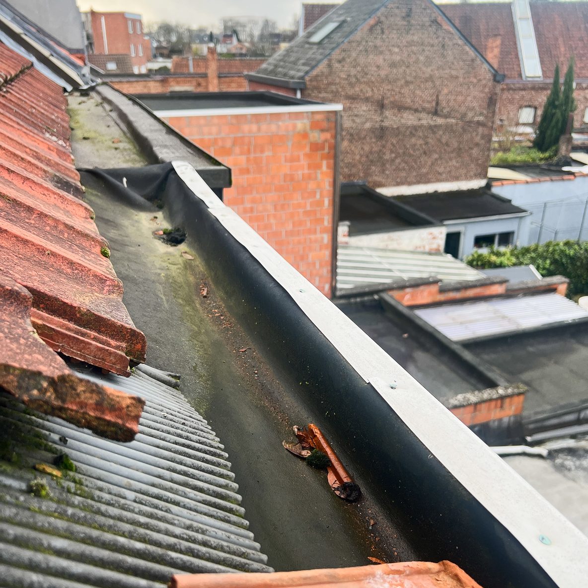 Complete dakrenovatie met sarkingisolatie in Mechelen - Image 4